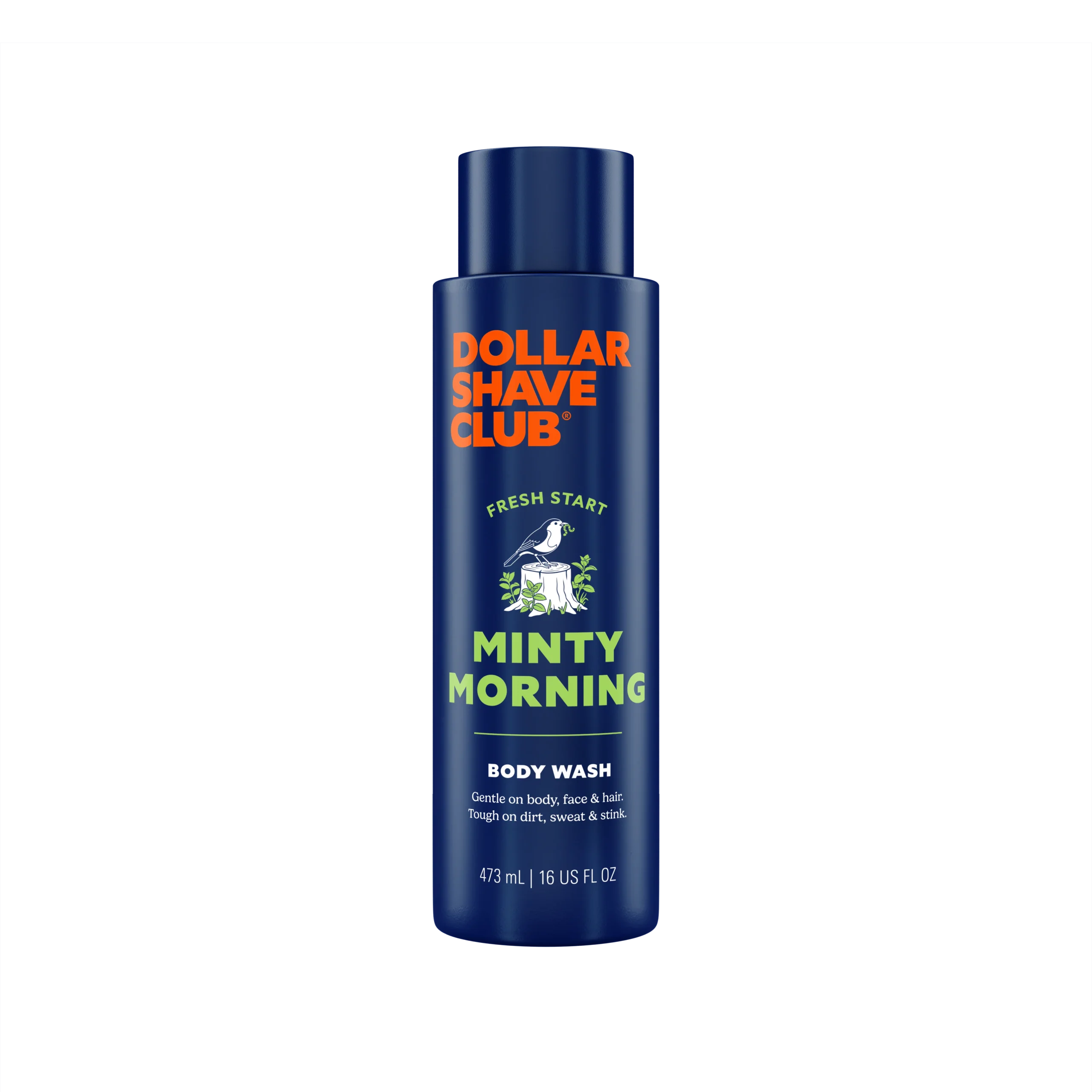 9a269a20f9_BodyWash_16oz_MintyMorning_Front